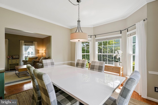 21591 Awbrey Pl, Broadlands, VA 20148 - dining room with wood finished floors, plenty of natural light, crown molding, and baseboards