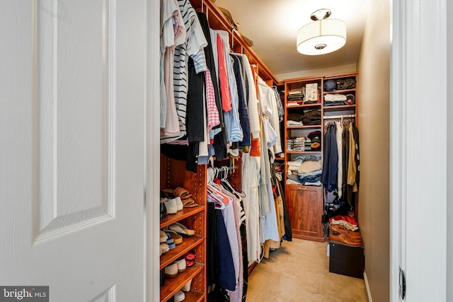 21591 Awbrey Pl, Broadlands, VA 20148 - walk in closet featuring carpet