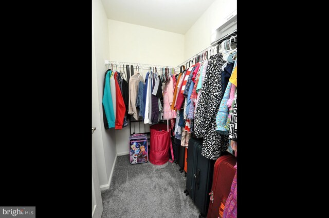 208 Starboard Way, Mount Laurel, NJ 08054 - spacious closet with carpet floors
