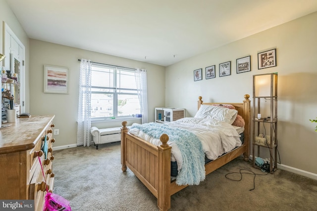 31 Walters Way, Dover, DE 19904 - bedroom featuring carpet flooring and baseboards