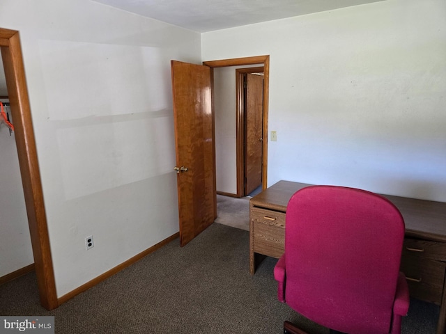 office featuring carpet flooring and baseboards