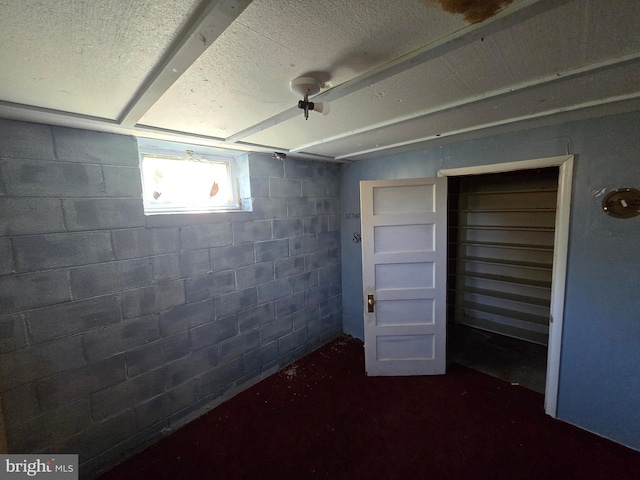 below grade area featuring concrete block wall and a textured ceiling