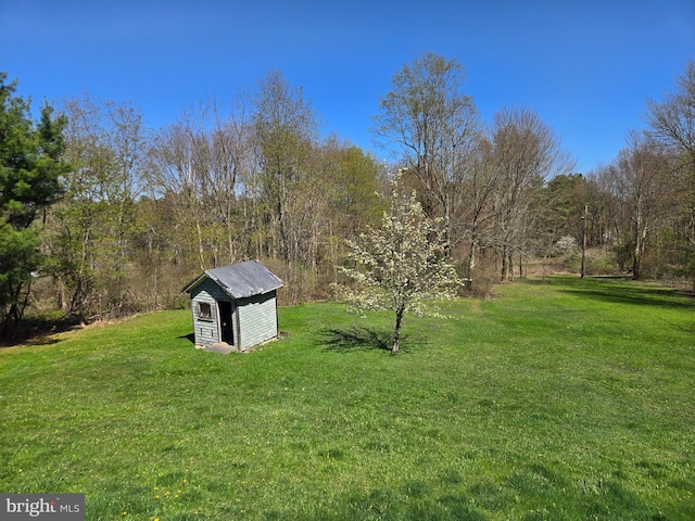 view of yard featuring a storage shed and an outbuilding
