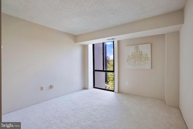 5300 Holmes Run Pkwy Unit 407, Alexandria, VA 22304 - spare room featuring carpet, a textured ceiling, and a wall of windows