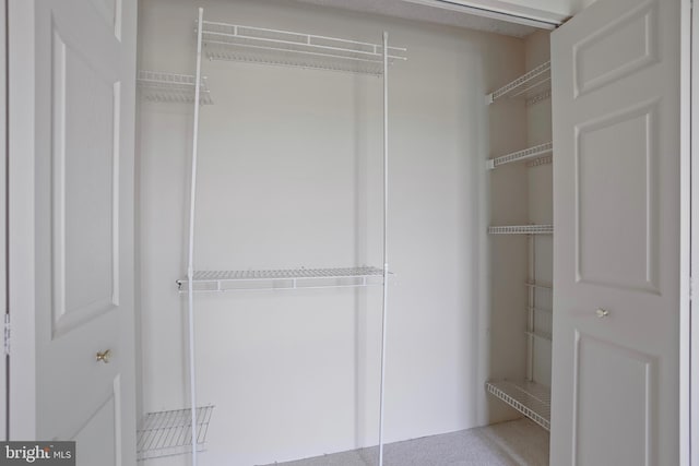5300 Holmes Run Pkwy Unit 407, Alexandria, VA 22304 - view of closet