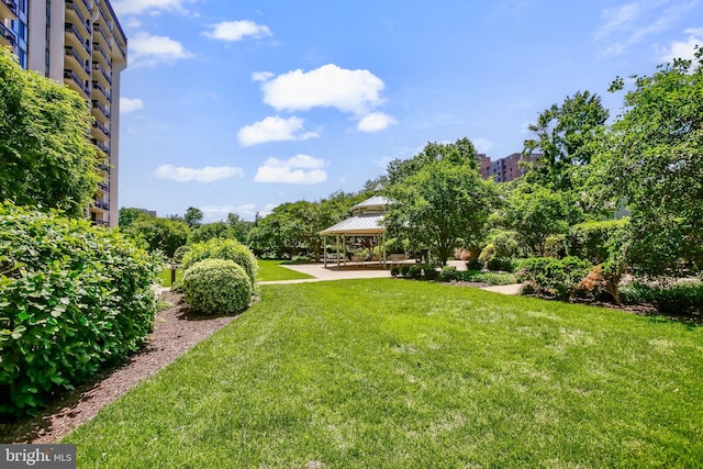 5300 Holmes Run Pkwy Unit 407, Alexandria, VA 22304 - view of grassy yard featuring a gazebo