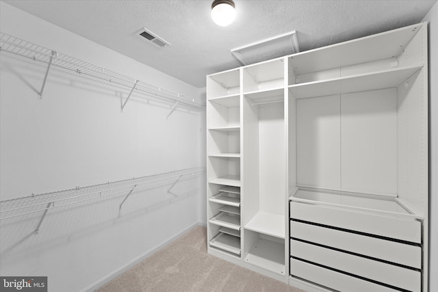 spacious closet with carpet