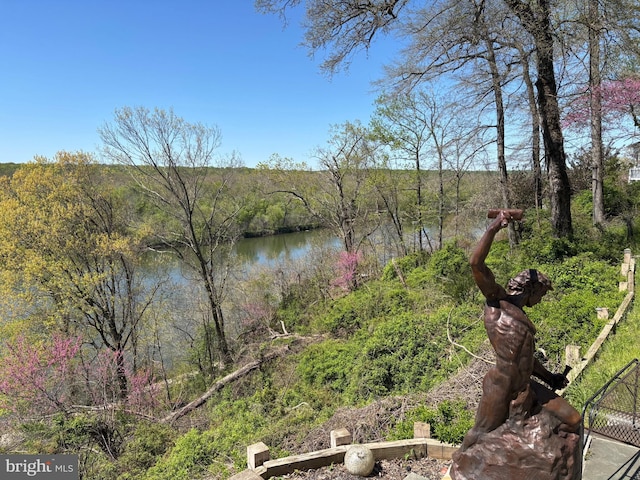 11500 Springridge Rd, Potomac, MD 20854 - water view with a forest