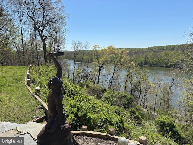 11500 Springridge Rd, Potomac, MD 20854 - water view with a forest