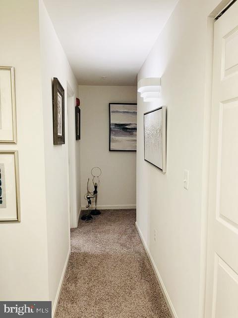 9000 Bay Ave Unit 209, North Beach, MD 20714 - hall with carpet floors and baseboards