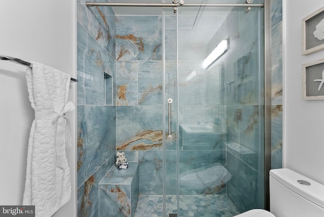 2505 Wheat Meadow Ct, Herndon, VA 20171 - bathroom featuring toilet and a stall shower