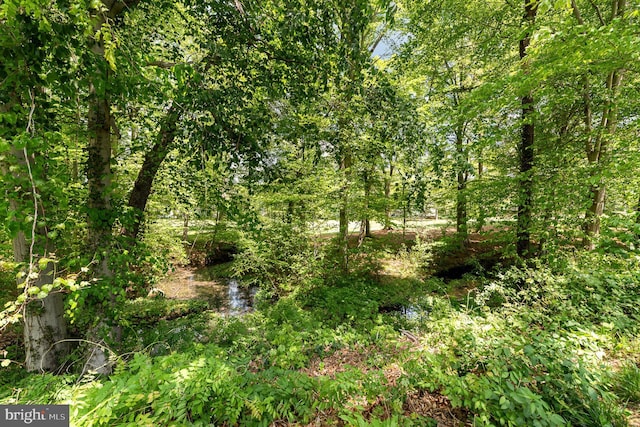 view of landscape