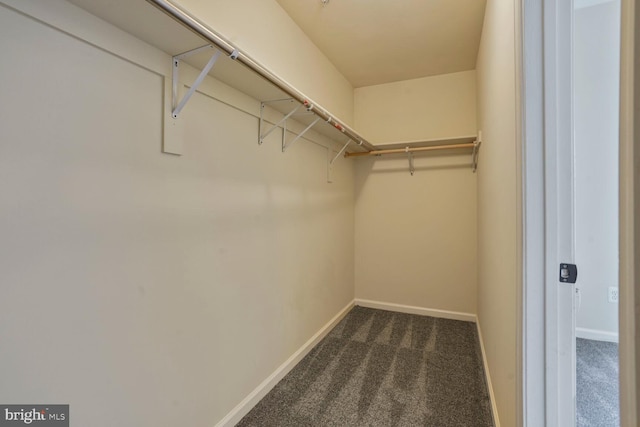 spacious closet featuring dark carpet