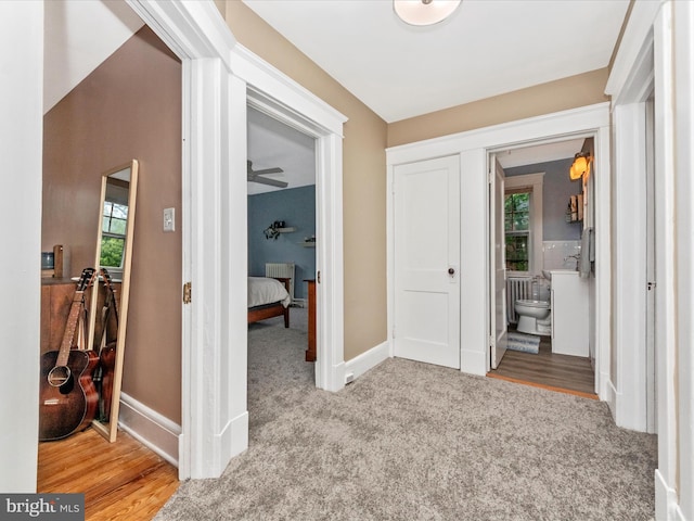 hallway featuring carpet, baseboards, and wood finished floors