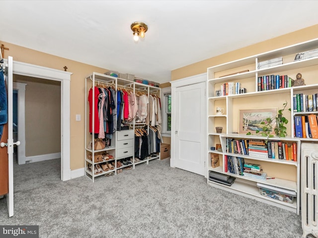 spacious closet featuring carpet