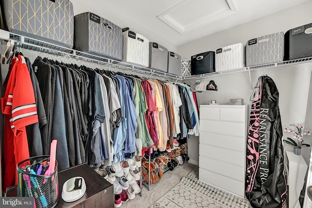 305 Maple Run Dr, York, PA 17404 - spacious closet featuring attic access and carpet flooring