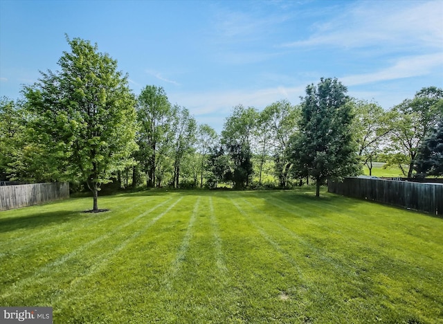 view of yard