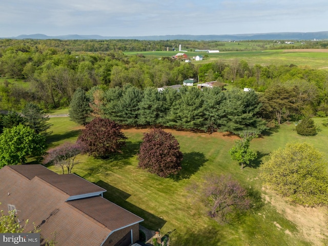 bird's eye view