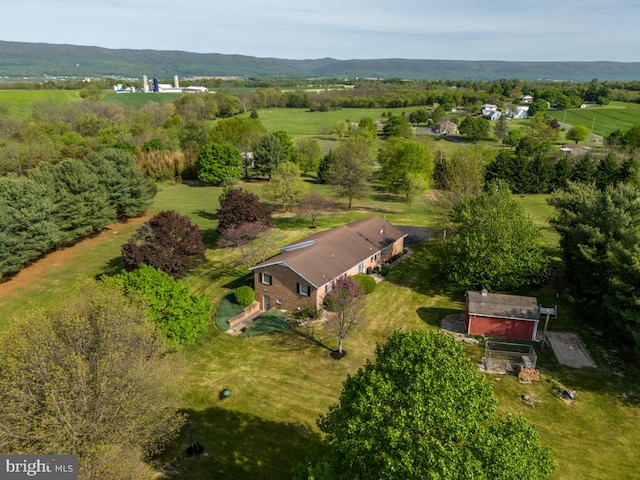 bird's eye view