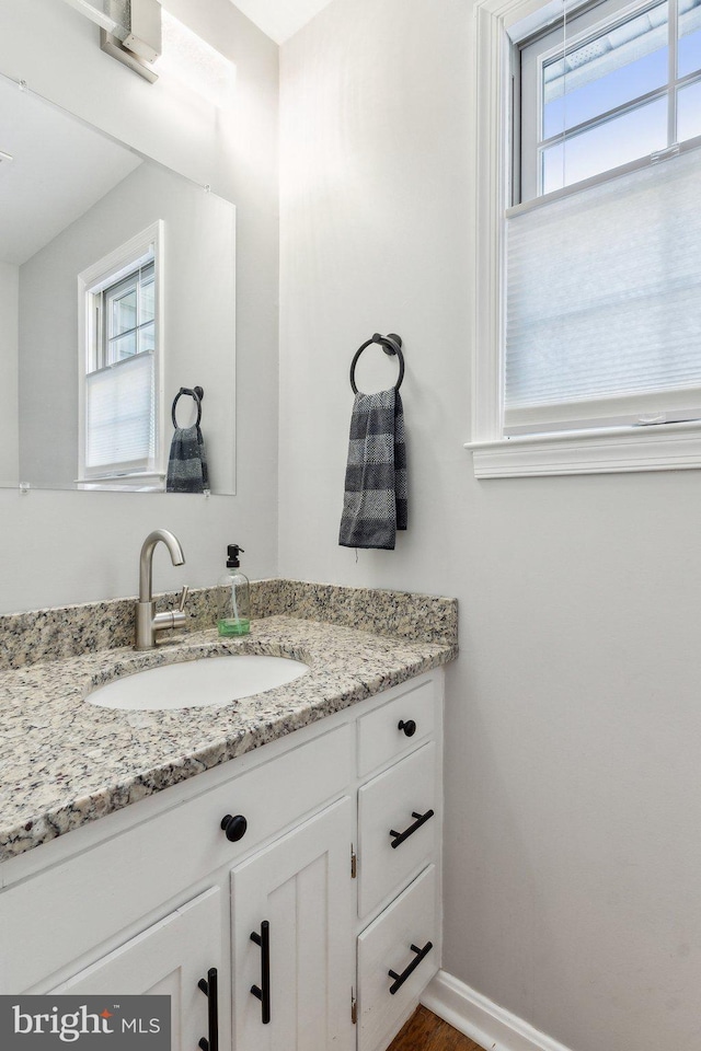 2994 Hope Mill Ln, Adamstown, MD 21710 - bathroom featuring vanity, baseboards, and a wealth of natural light