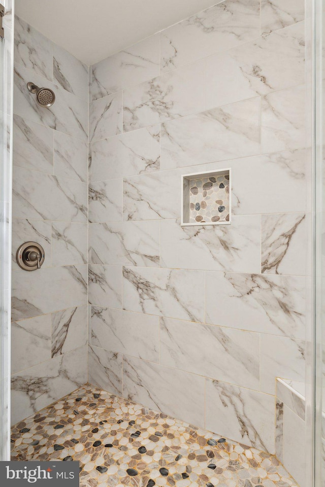 2994 Hope Mill Ln, Adamstown, MD 21710 - bathroom featuring a tile shower