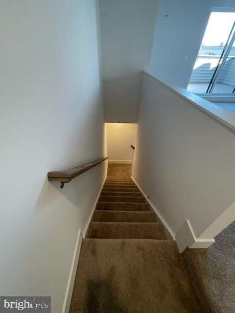 12 Mural Walk NE, Washington, DC 20011 - staircase featuring carpet floors and baseboards