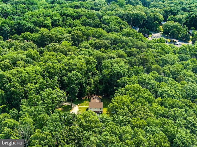 8013 Baileys Ln, Pasadena, MD 21122 - drone / aerial view of a heavily wooded area