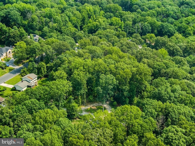 8013 Baileys Ln, Pasadena, MD 21122 - aerial view of a forest