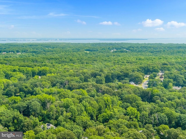 8013 Baileys Ln, Pasadena, MD 21122 - aerial view of a forest and a nearby body of water