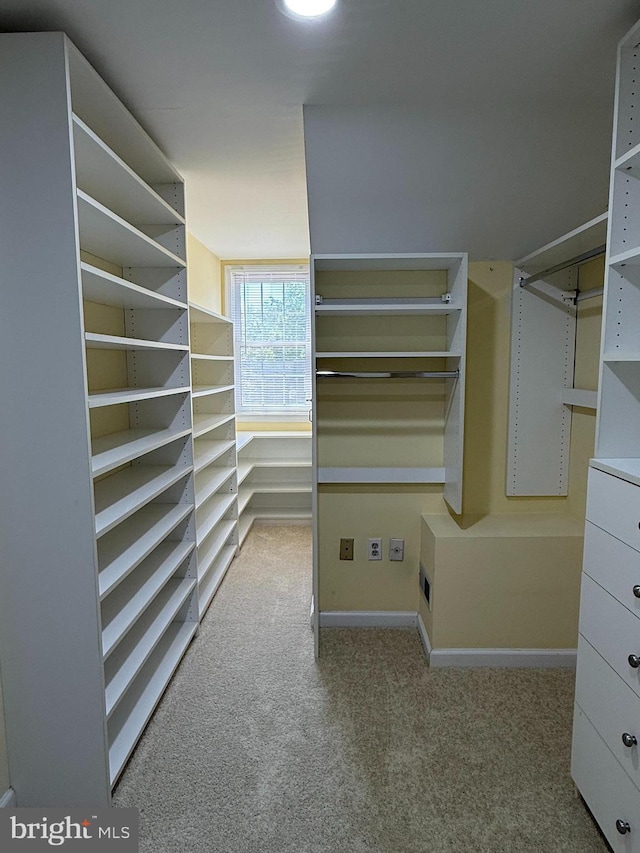 spacious closet with carpet floors