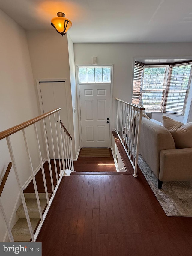 foyer featuring a wealth of natural light and dark wood-style floors
