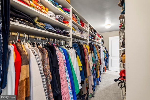 walk in closet with carpet flooring