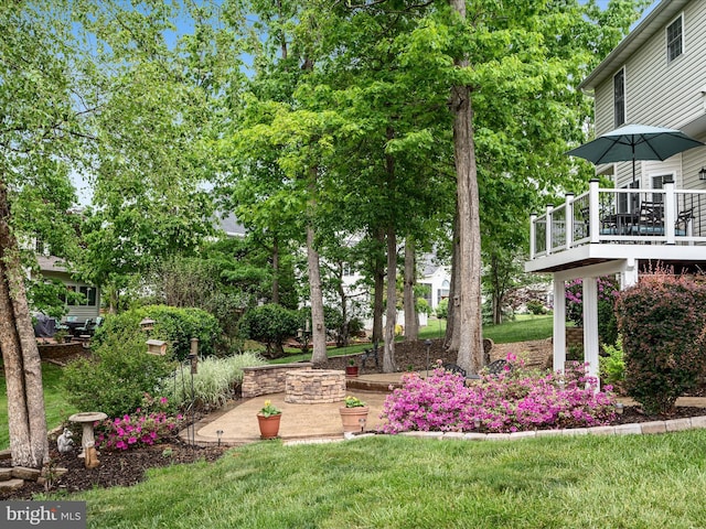 126 Boydton Plank Dr, Stephens City, VA 22655 - view of yard featuring a wooden deck