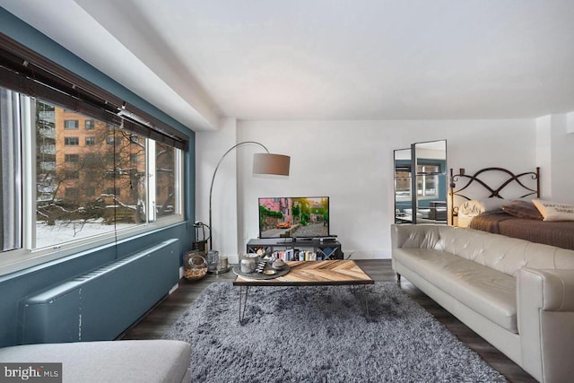 living area featuring wood finished floors