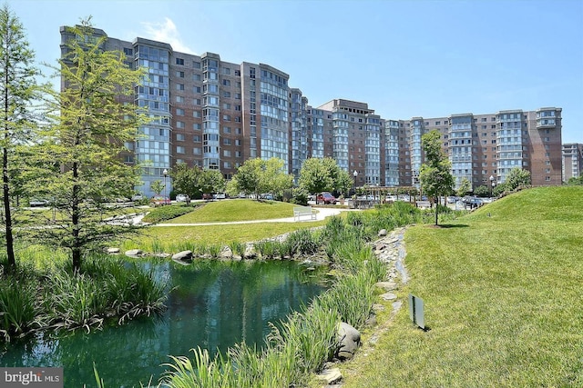 view of community featuring a lawn