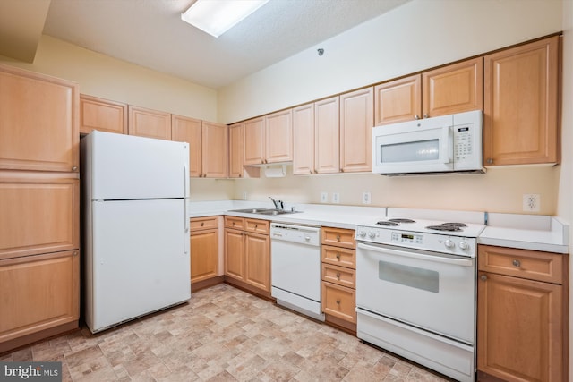 kitchen featuring light countertops, light brown cabinetry, a sink, and white appliances