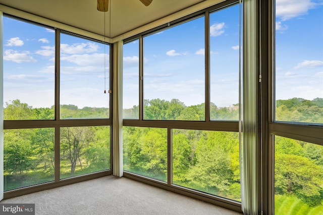 unfurnished sunroom with carpet flooring