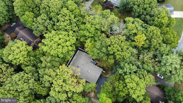 115 Carnoustie Rd, Dover, DE 19904 - birds eye view of property