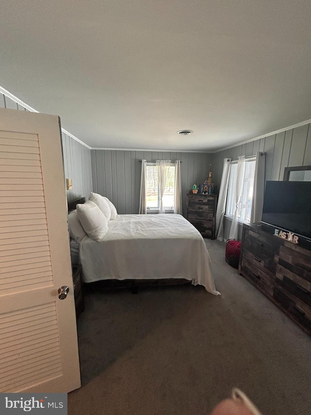 115 Carnoustie Rd, Dover, DE 19904 - carpeted bedroom with multiple windows