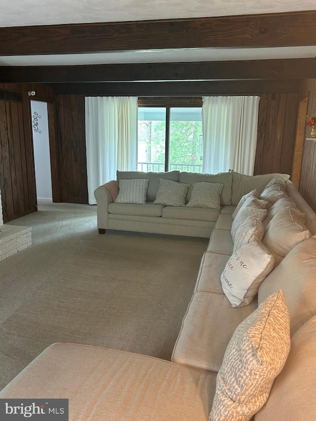 115 Carnoustie Rd, Dover, DE 19904 - carpeted living room with wooden walls