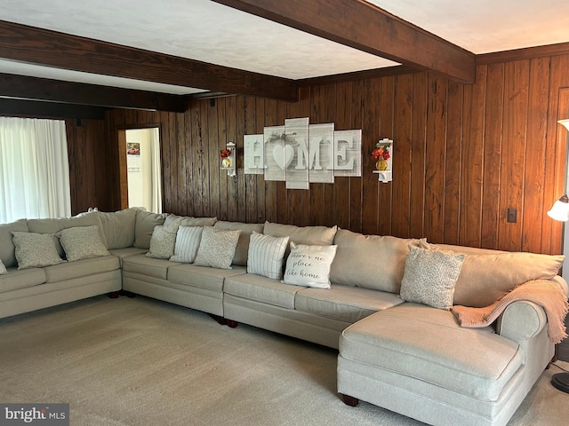 115 Carnoustie Rd, Dover, DE 19904 - carpeted living room with beam ceiling and wooden walls
