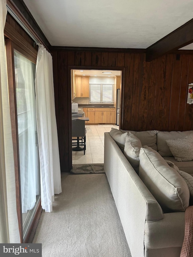 115 Carnoustie Rd, Dover, DE 19904 - living room with light carpet and wood walls