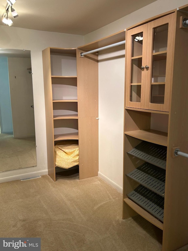 115 Carnoustie Rd, Dover, DE 19904 - spacious closet with visible vents and carpet