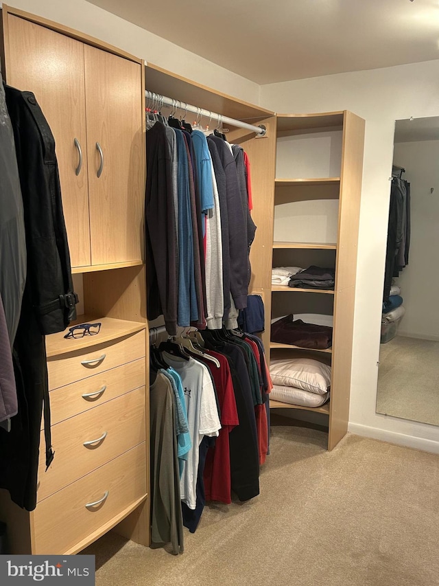 115 Carnoustie Rd, Dover, DE 19904 - walk in closet with carpet flooring