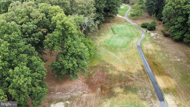 115 Carnoustie Rd, Dover, DE 19904 - birds eye view of property