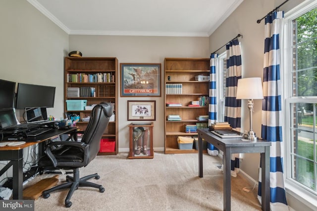 8645 Adrienne Pl, Manassas, VA 20110 - carpeted office with crown molding and baseboards