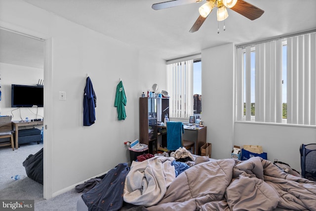 1 E University Pkwy Unit 1502, Baltimore, MD 21218 - bedroom featuring multiple windows, a ceiling fan, and carpet floors