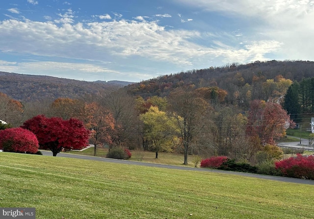 Casino NW, Frostburg MD, 21532 land for sale