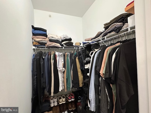 view of walk in closet