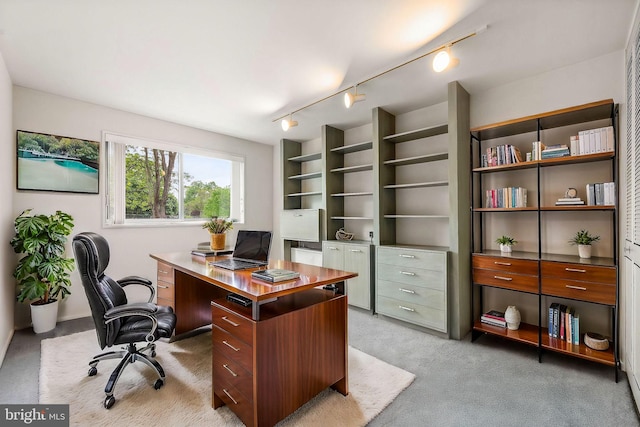 office featuring light carpet and track lighting
